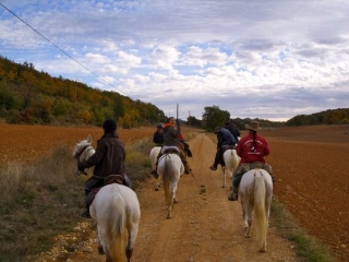 Sur la route de l experience equestre